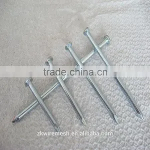 Common Nails With Good Quality thumbnail-2
