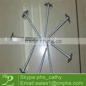 Galvanized Roofing Nail thumbnail-1