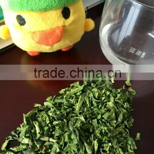Dehydrated Coriander thumbnail-2