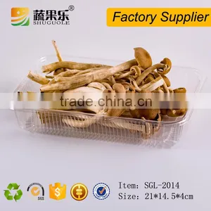 OEM Welcome PET Pepper Packing Trays on Supermarket thumbnail-3