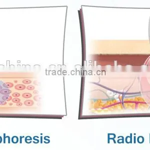 Radio Frequency Mesotherapy Beauty Facial Electroporation for Wrinkles Device - New Cellactor thumbnail-4