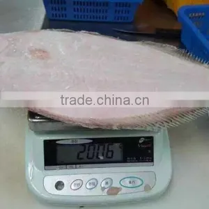 High Quality Single Piece Fish Flounder Flatfish thumbnail-1