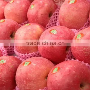Fresh Fuji Apple thumbnail-5
