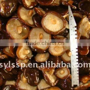 2016 Crop Shiitake Mushroom in Brine thumbnail-2