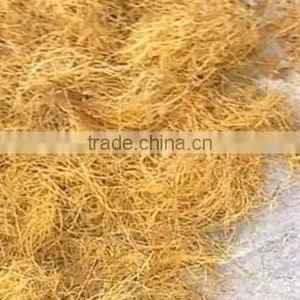 Coconut Fiber Open Processing Machine thumbnail-4