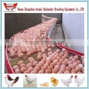 Hot Chicken Layer Cage/ Hens Chicken Cage/chicken Farm/poultry Farm thumbnail-4