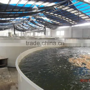 Aquaculture Polyethylene Fish Tanks for Shrimp thumbnail-4