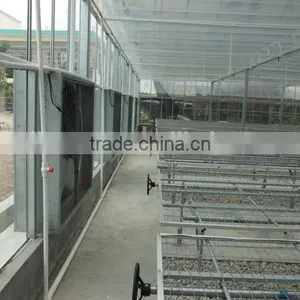 Polycarbonate Sheet Cover Agricultural Greenhouse PC Sheet Covered Greenhouse thumbnail-5