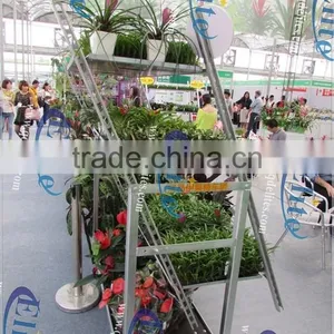 141 Steel for Display Flower Trolley,Steel for Pot Plant Trolley ,Steel for The CC Euro Trolley thumbnail-2