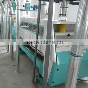 China Manufacturer Screw Wheat Brusher thumbnail-3