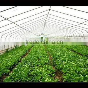 Multi Span PE Cover Film PE Greemhouse Film for Vegetable Greenhouse thumbnail-1