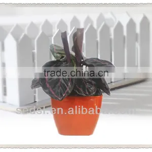 Home Decorative Plant Pot,square Bonsai Pot,cheap Plastic Flower Pot thumbnail-1