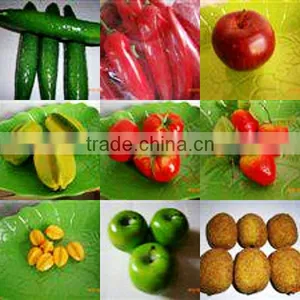 SJH1492909 Vegetable and Fruit Decoration Tools Plastic Fruit and Vegetables for Kids Plastic Toys Fruits and Vegetables thumbnail-1