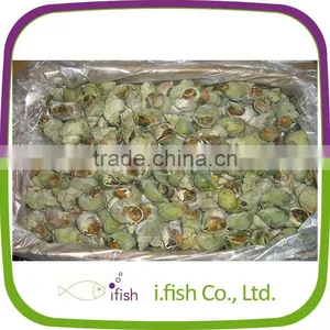 Jade Whelk thumbnail-1