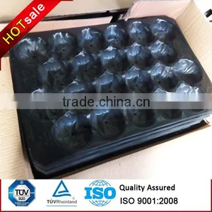 FDA Approval Vacuum Formed Blister Packaging 29x49cm Alveolus PP Tray For Fresh Fruits thumbnail-4