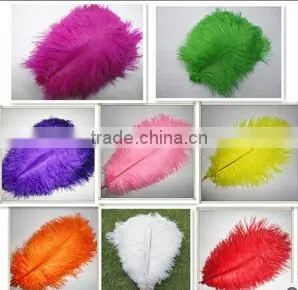 18-20cm Frozen Turquoise Ostrich Feather Wholesale thumbnail-1