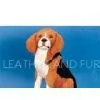 Home Decorations Items, Decorative Ornaments, Nautical Gifts, Christmas Items And Products thumbnail-1