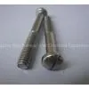 Slotted Bolt thumbnail-1