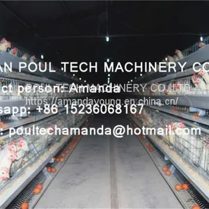Philippines Chicken Farm Hot Galvanized Cage for Layer & A Frame Battery Hen Cage & Chicken Coop for Poultry Farm thumbnail-1