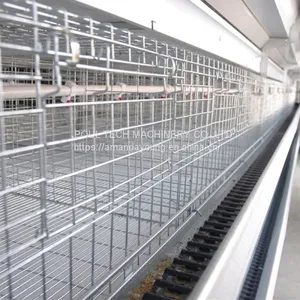 Djibouti Poultry Farm Battery Broiler Cage & Meat Chicken Cage & Chicken Coop in Chicken Shed thumbnail-5