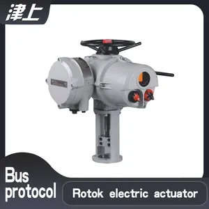 Straight Stroke Electric Actuator IQ18+VE64/1216FNP Aluminum Alloy Electric Actuator thumbnail-1