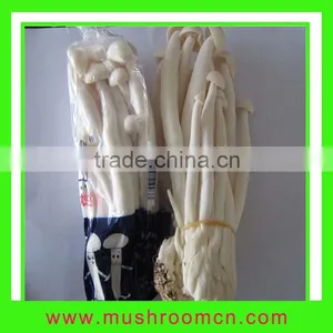 Fresh White Crab Mushroom thumbnail-1