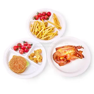 Manufacturer Customized 8inch 10 Inch Round Plate PP Dinner Plate Disposable Plastic Parties Dish thumbnail-4