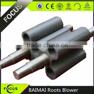 BAIMAI Roots Vacuum Blower(negative Pressure Roots Blower) thumbnail-4