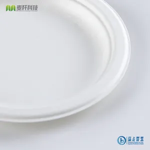 Disposable Biodegradable 6 INCH PLATE Take Away Sugarcane Outdoor Dining and Painting thumbnail-4