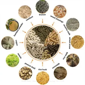 Biomass Wood Sawdust Pellet Mill/Rice Huck Pellet Making Machine Peanut Shell Grass Straw Hay Pellet Press Maker Machine for Biomass Pellet Production thumbnail-3
