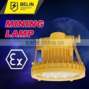 DGS50/127L(A) Flameproof LED Lights for Mining thumbnail-1