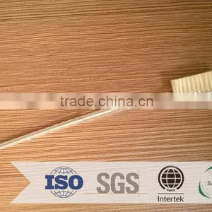 6g AME Toothpaste /airline Used Transparent Tooth Brush With Nylon Bristle With Cover thumbnail-1