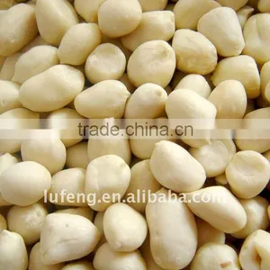 Blanched Groundnut Prices thumbnail-1