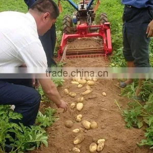 12 - 18HP Walking Tractor Single Row Potato Harvester thumbnail-3