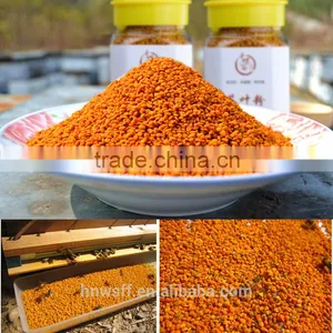 China Bee Pollen Raw Honey Bee Pollen Supplements From China Bee Pollen thumbnail-6