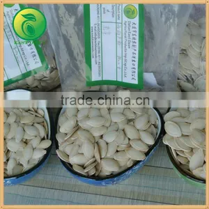 Hot Products Pumpkin Non-Edible Seeds thumbnail-2