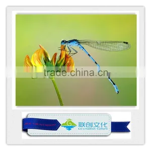 Gaint Insect Robot Models on Sale thumbnail-1