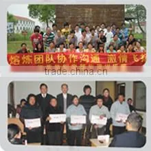 Jiangsu Huayang Electric Co., Ltd. company overview - view 2 thumbnail