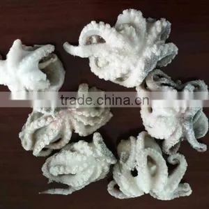 FROZEN OCTOPUS (FLOWER) thumbnail-3