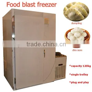 Individual Quick Freezer for Instant Freezing Dumpling and Dim Sum thumbnail-1