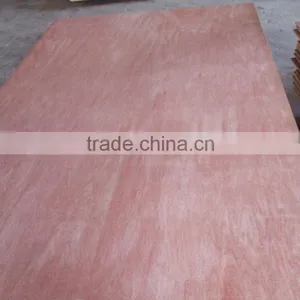 Natural Veneer Bintangor Logs Veneer thumbnail-1