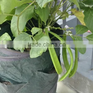 Vegetable Planting Bag, Strawberry Planting Bag, Potato Planting Bag thumbnail-3