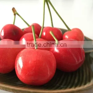 China Paper Bagged Fresh Cherries thumbnail-2