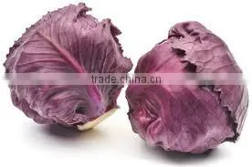 Red Cabbages thumbnail-1