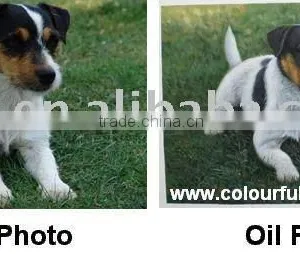 Realistic Animal Oil Painting From Photo thumbnail-1