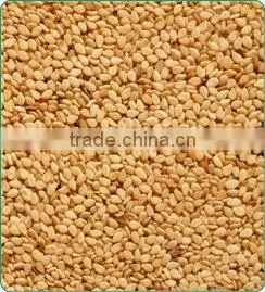 SESAME SEED NATURAL BEST QUALITY thumbnail-1