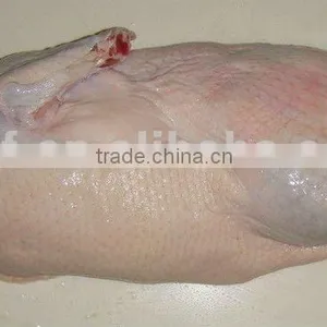 Frozen Duck thumbnail-1