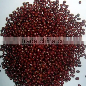 2015 New Crop the British Red Kidney Beans From China thumbnail-6