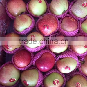 Fresh Apple Chinese Apple Fruit Gala Apple thumbnail-1