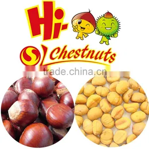 IQF Frozen Chestnut Quick Freezing Peeled Chestnuts thumbnail-4